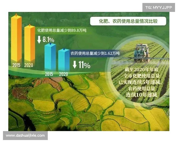 高地红石榴丰收秘诀与精细养护技巧分享提升产量的关键方法 高地红石榴丰收秘诀与精细养护技巧分享提升产量的关键方法