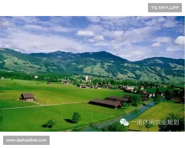 东超的含义及其文化背景全面解析与发展趋势探讨