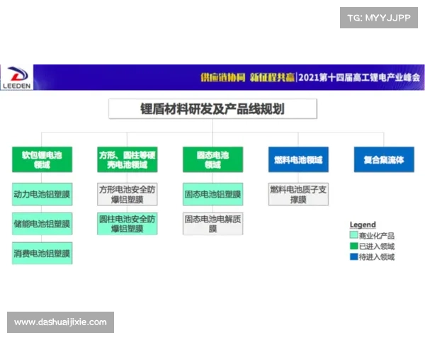 斯坦福桥组织效能提升策略与实践路径探索 斯坦福桥组织效能提升策略与实践路径探索